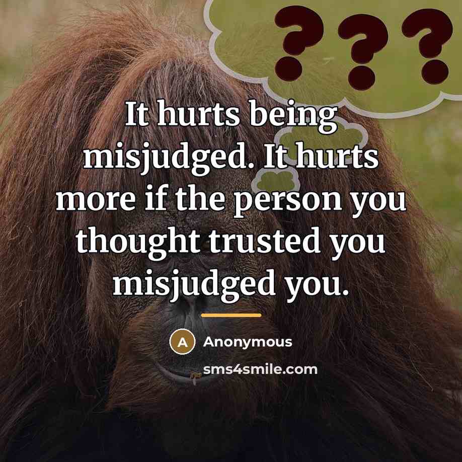 “It hurts being misjudged. It hurts more if the person you thought trusted you misjudged you.” quote by Anonymous