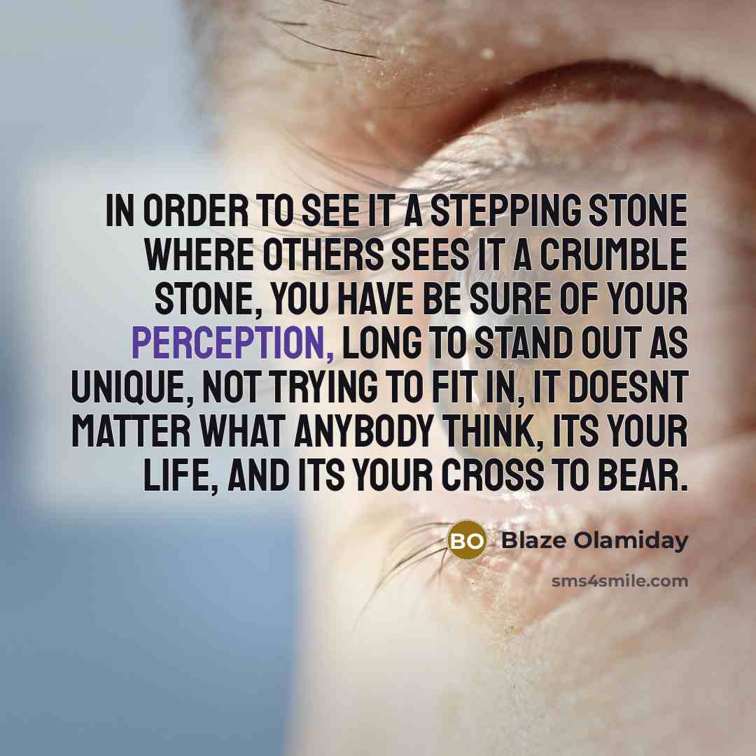 “In order to see it a stepping stone where others…” quote by Blaze Olamiday