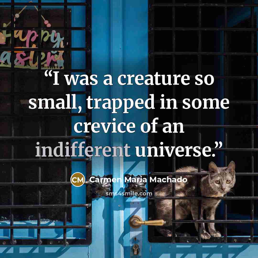 “I was a creature so small, trapped in some crevice of an indifferent universe.” quote by Carmen Maria Machado