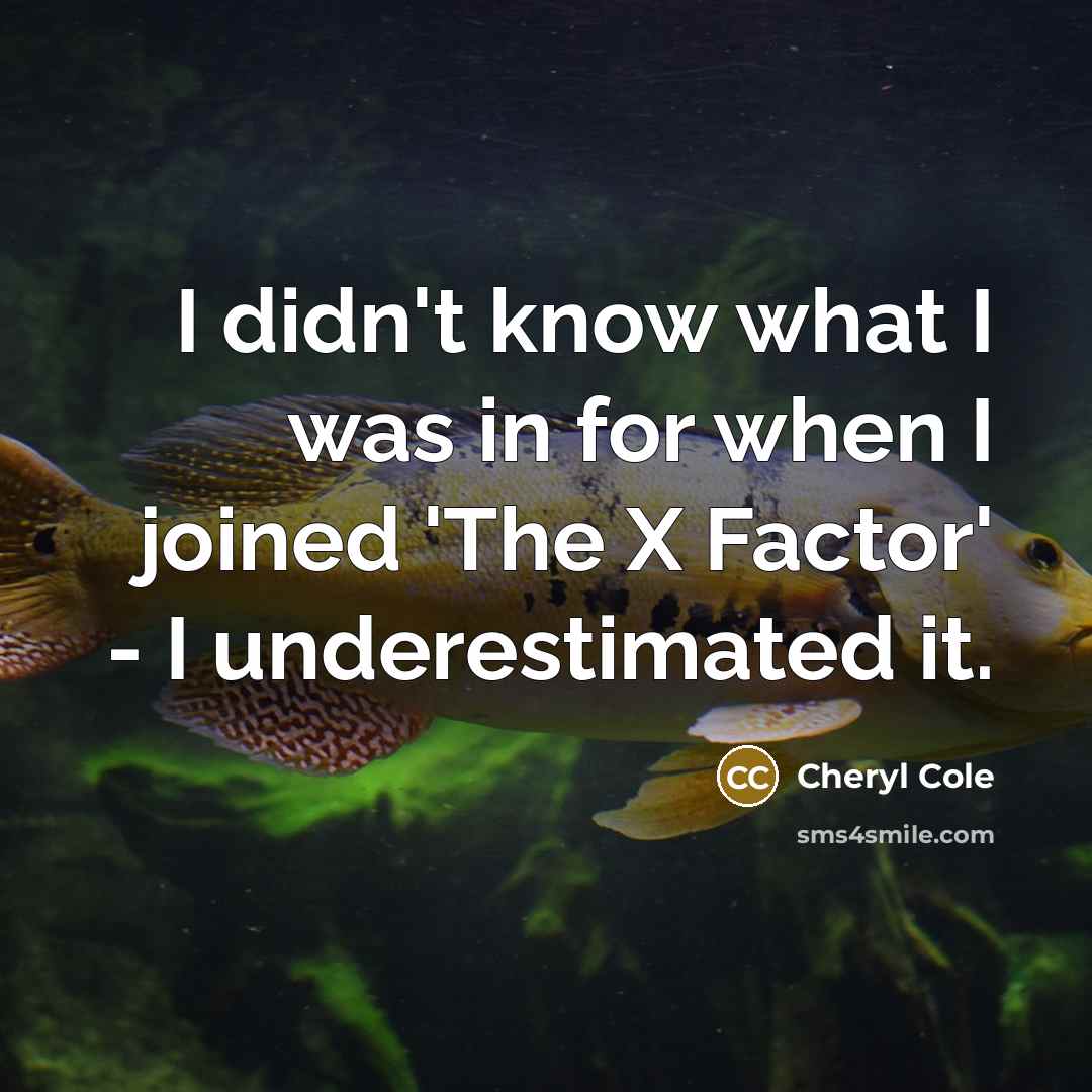 “I didn't know what I was in for when I…” quote by Cheryl Cole