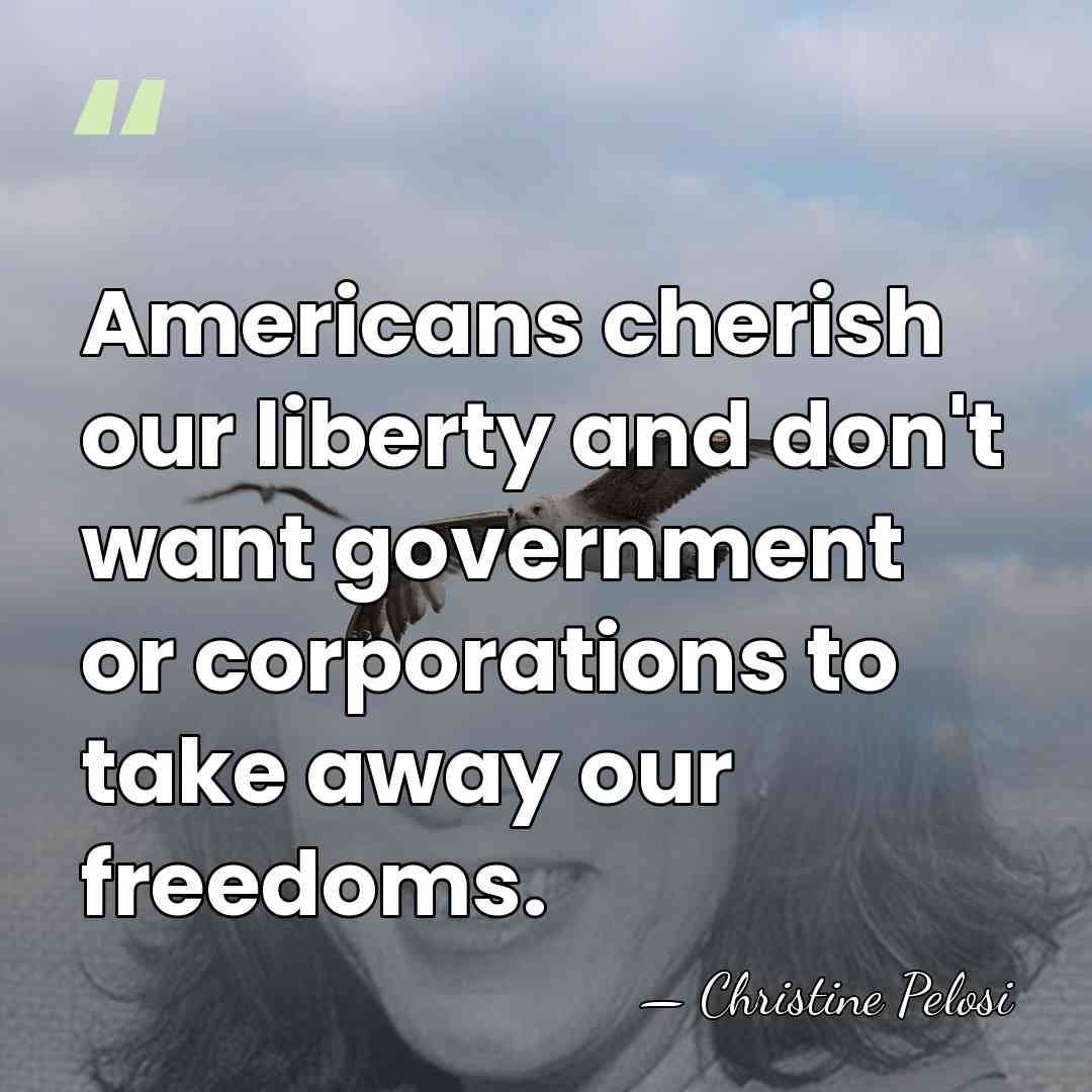 Americans cherish our liberty and don't want government or corporations to take&hellip; - Christine Pelosi