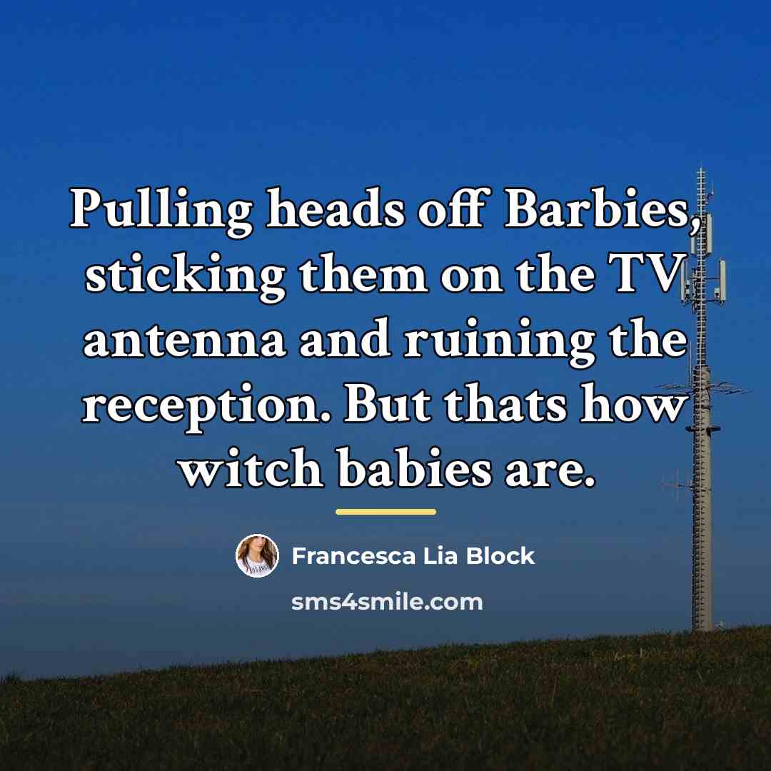 “Pulling heads off Barbies, sticking them on the TV antenna…” quote by Francesca Lia Block