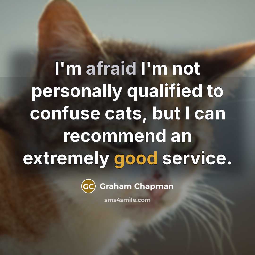 “I'm afraid I'm not personally qualified to confuse cats, but…” quote by Graham Chapman