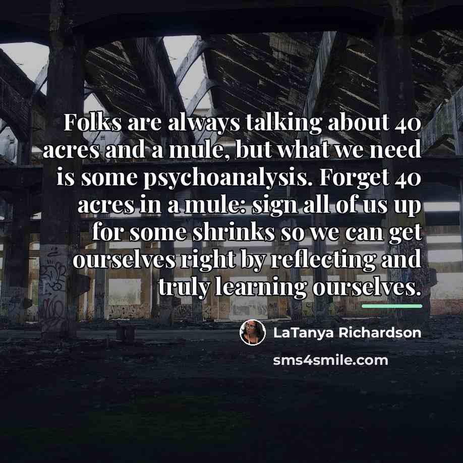 “Folks are always talking about 40 acres and a mule,…” quote by LaTanya Richardson