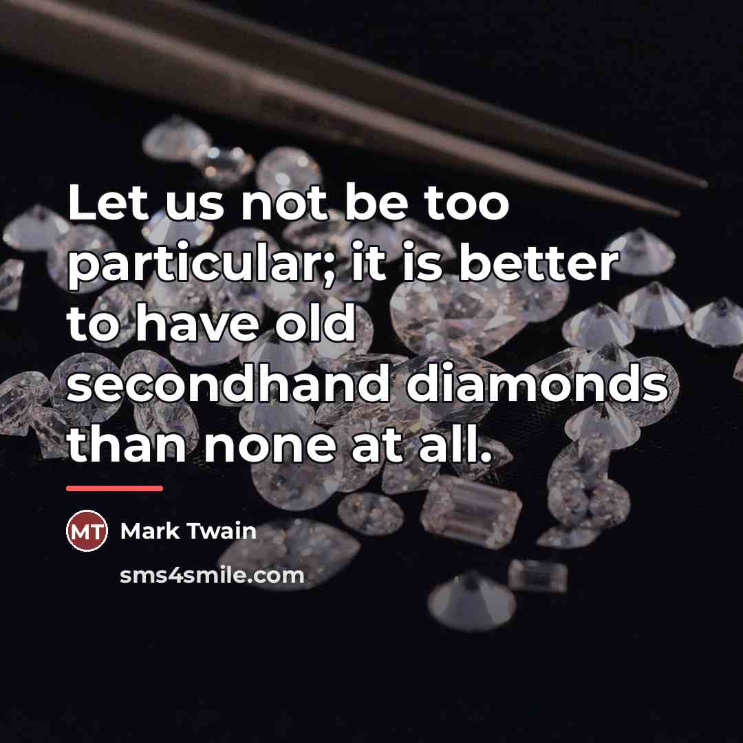 “Let us not be too particular; it is better to…” quote by Mark Twain