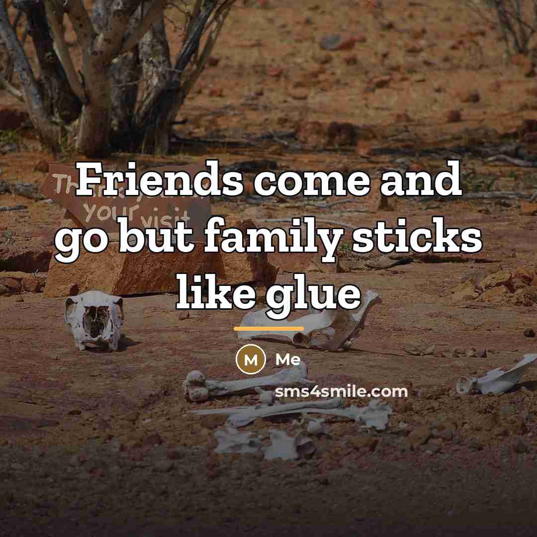 “Friends come and go but family sticks like glue…” quote by Me