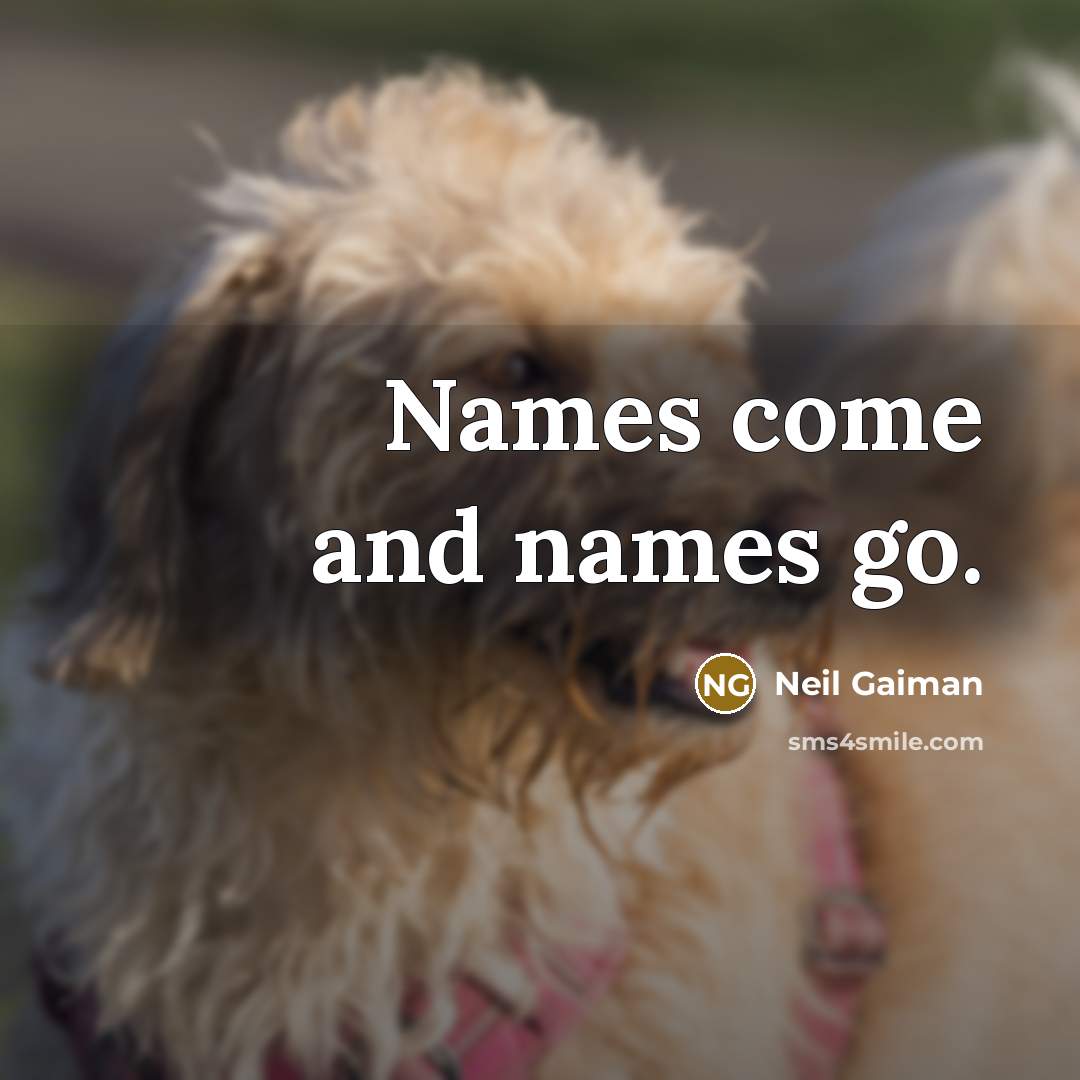“Names come and names go.” quote by Neil Gaiman