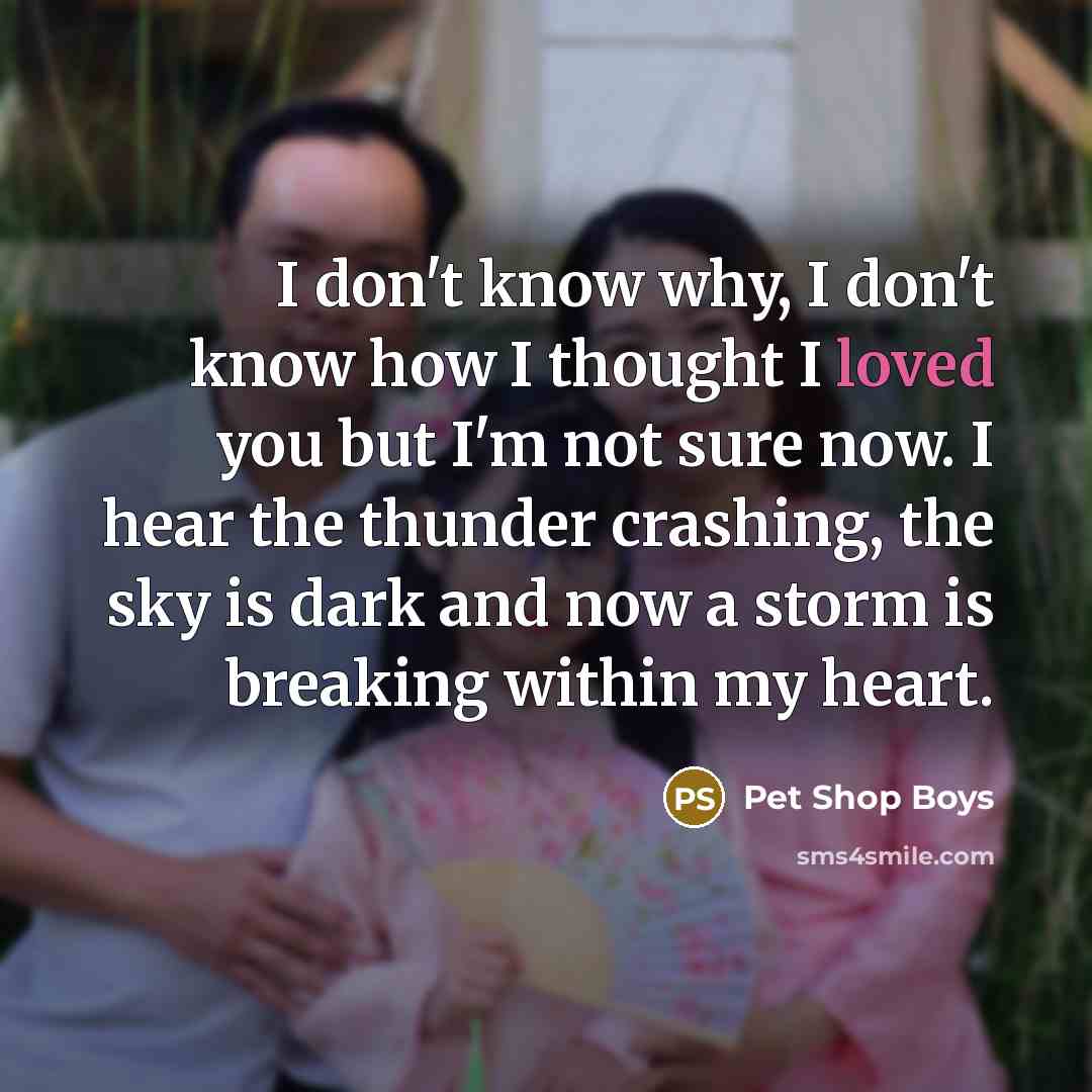 “I don't know why, I don't know how I thought…” quote by Pet Shop Boys