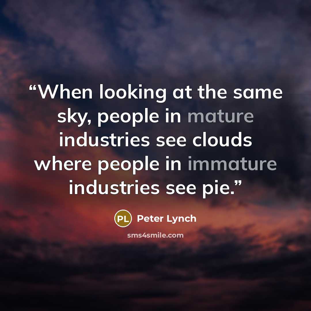 “When looking at the same sky, people in mature industries see clouds where people in immature industries see pie.” quote by Peter Lynch