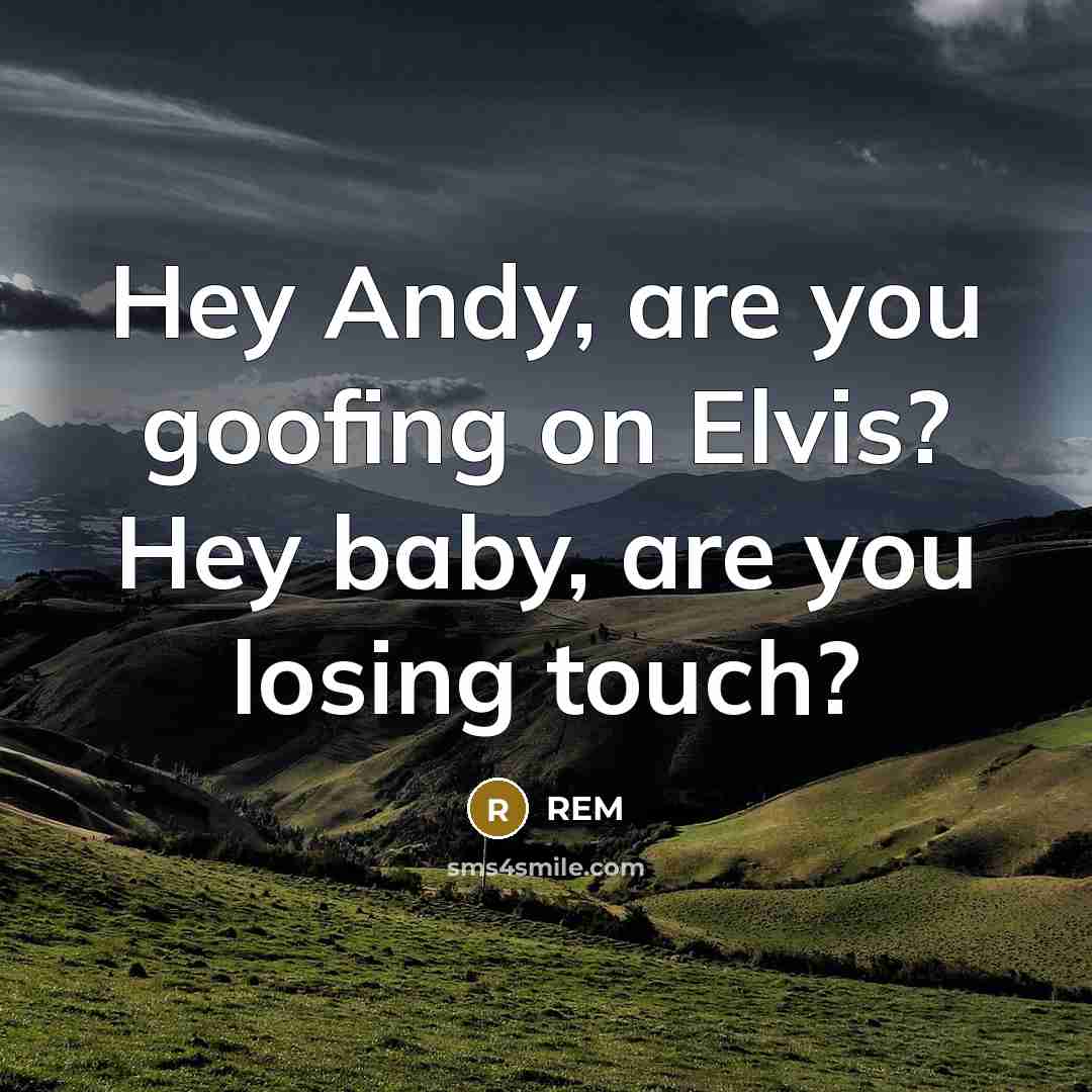 “Hey Andy, are you goofing on Elvis? Hey baby, are you losing touch?” quote by REM