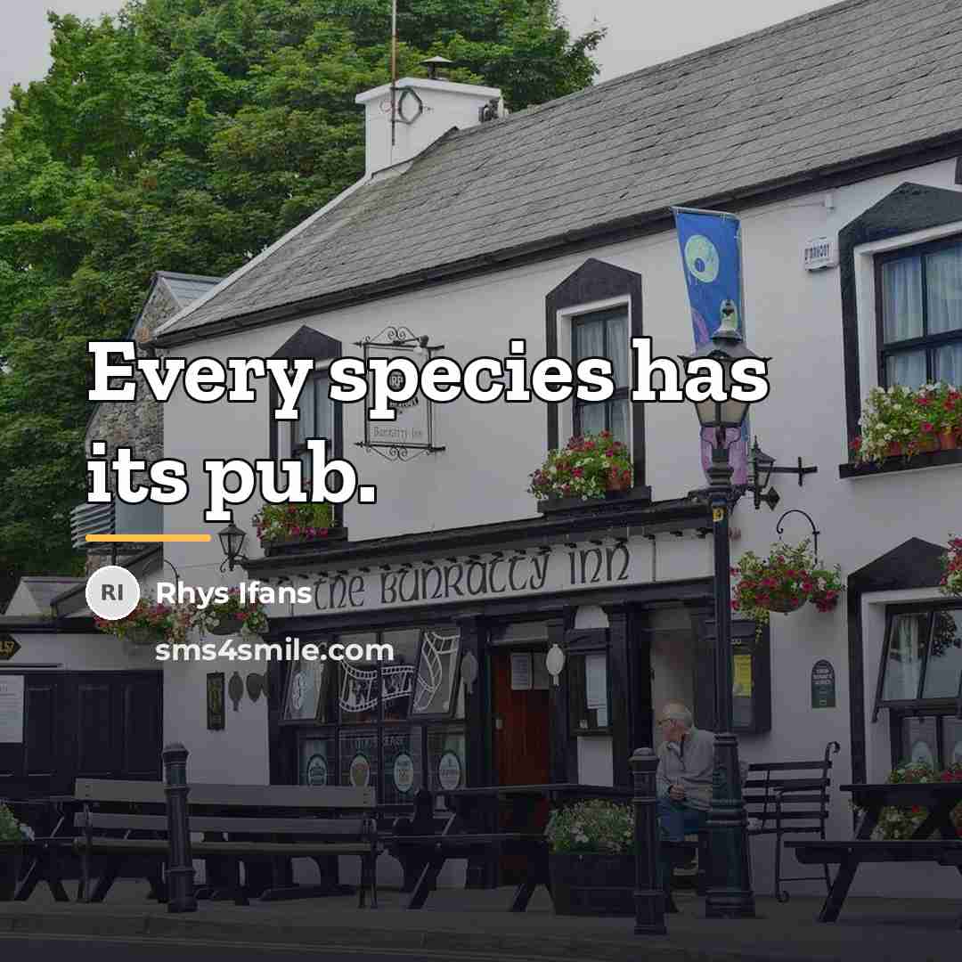 “Every species has its pub.…” quote by Rhys Ifans