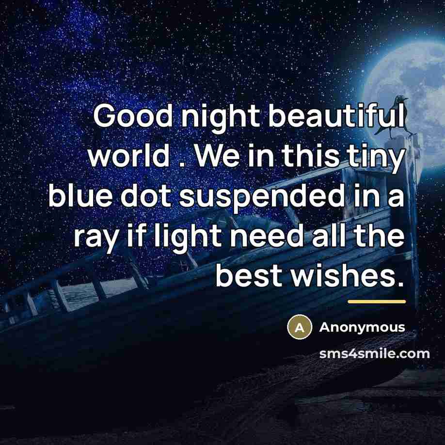 “Good night beautiful world . We in this tiny blue…” quote by Anonymous