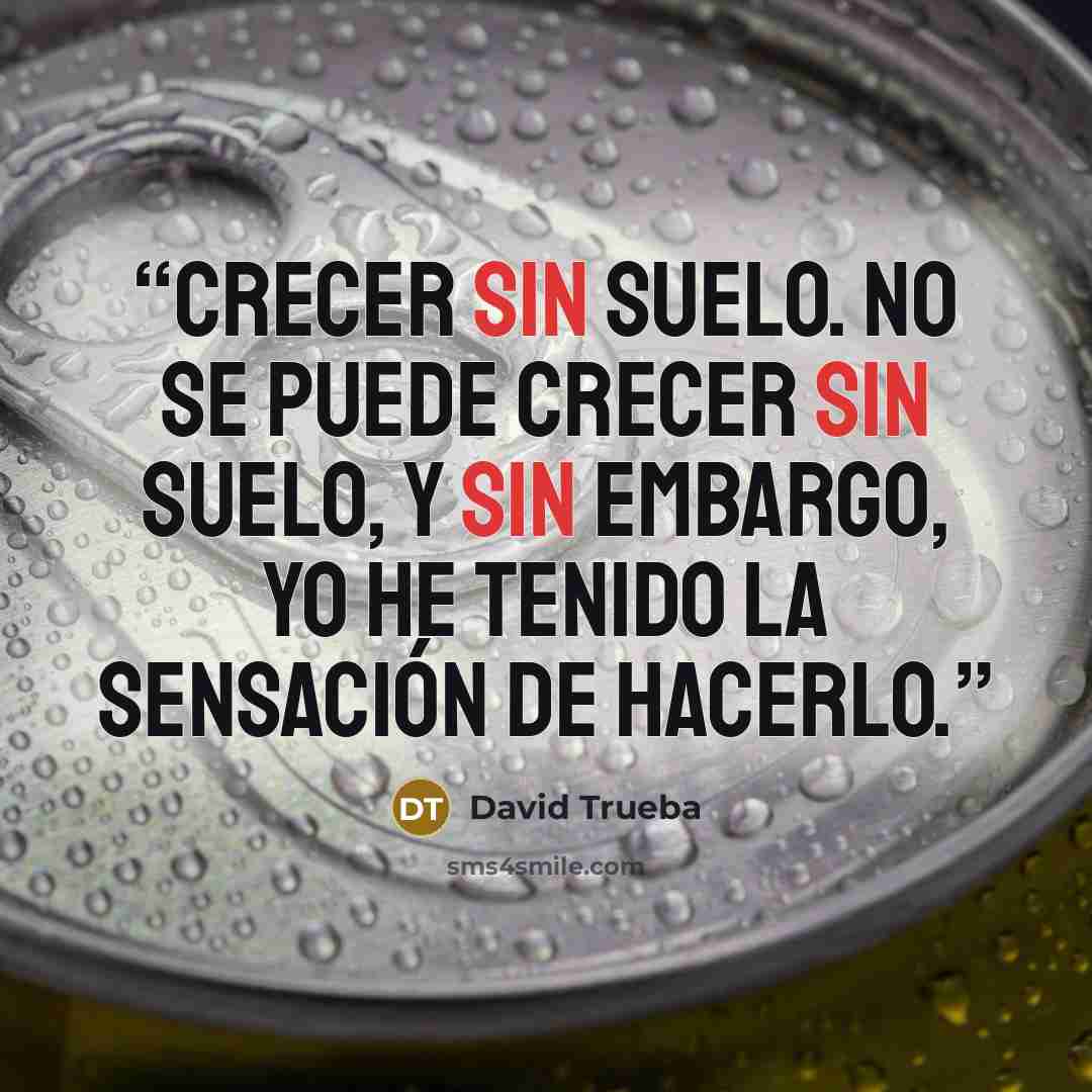“Crecer sin suelo. No se puede crecer sin suelo, y sin embargo, yo he tenido la sensación de hacerlo.” quote by David Trueba