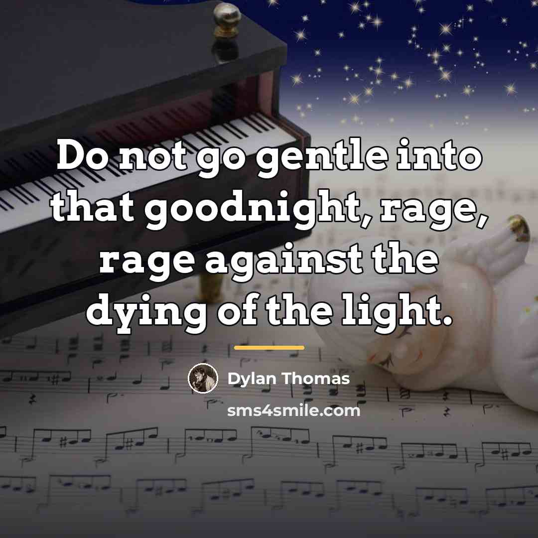 “Do not go gentle into that goodnight, rage, rage against…” quote by Dylan Thomas