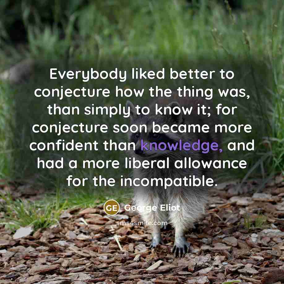 “Everybody liked better to conjecture how the thing was, than…” quote by George Eliot