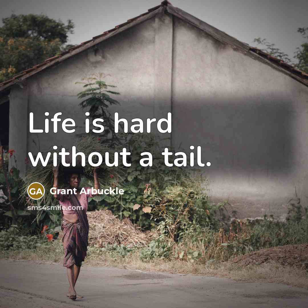 “Life is hard without a tail.” quote by Grant Arbuckle