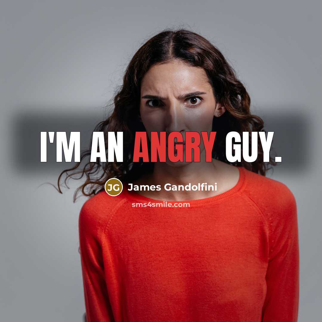 “I'm an angry guy.…” quote by James Gandolfini