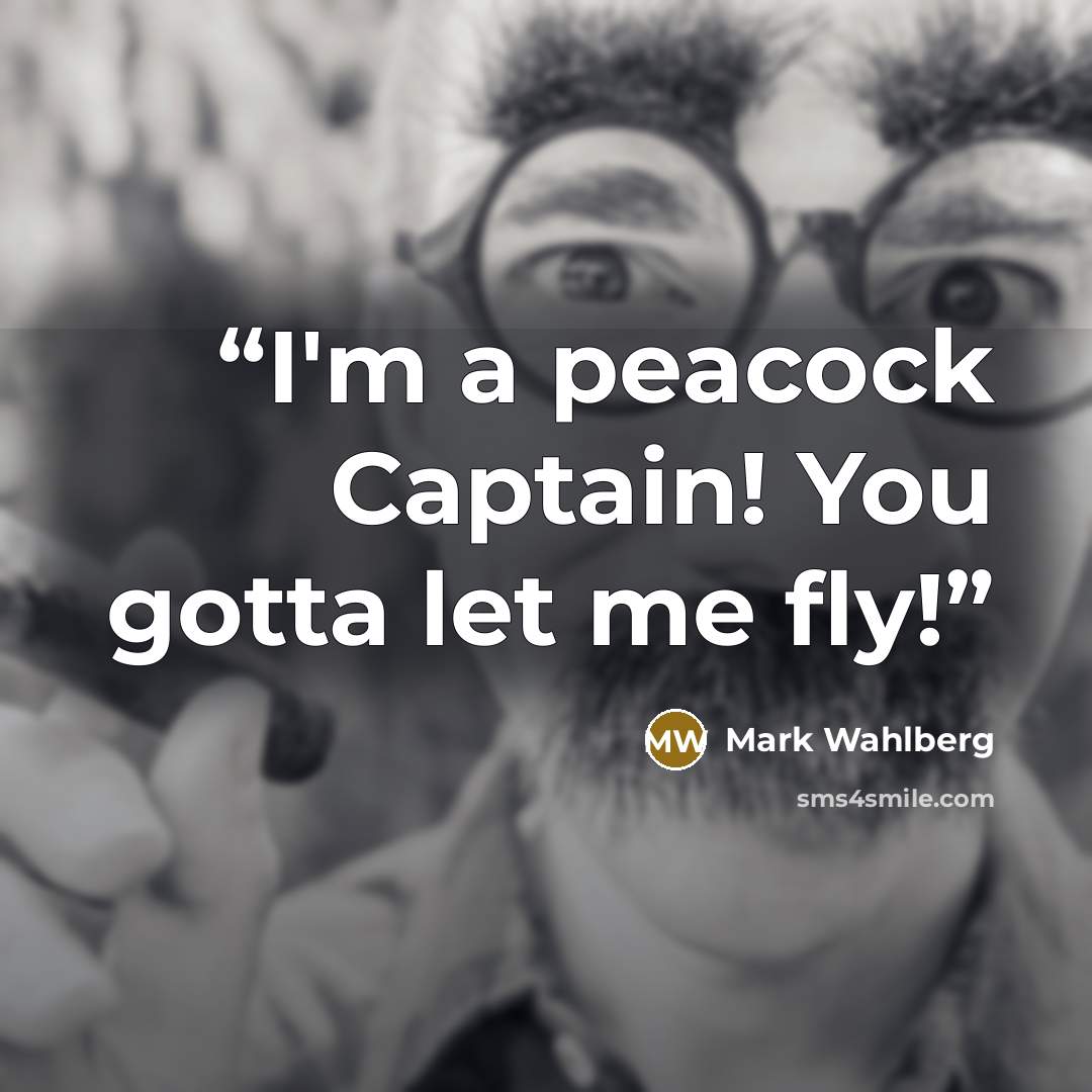 “I'm a peacock Captain! You gotta let me fly!” quote by Mark Wahlberg