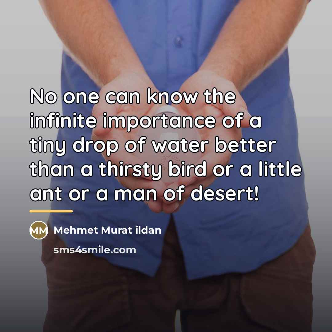 “No one can know the infinite importance of a tiny…” quote by Mehmet Murat Ildan