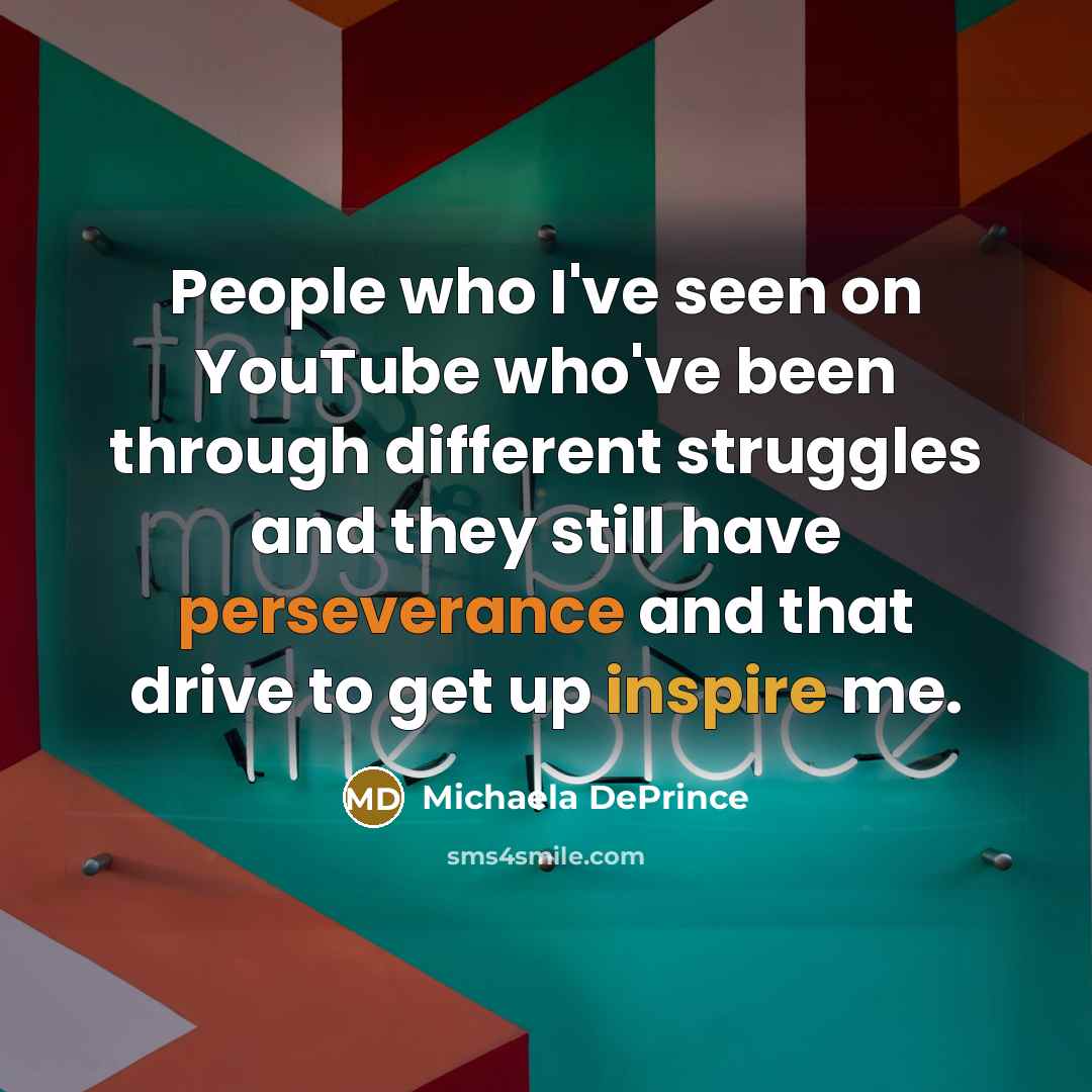 “People who I've seen on YouTube who've been through different…” quote by Michaela DePrince