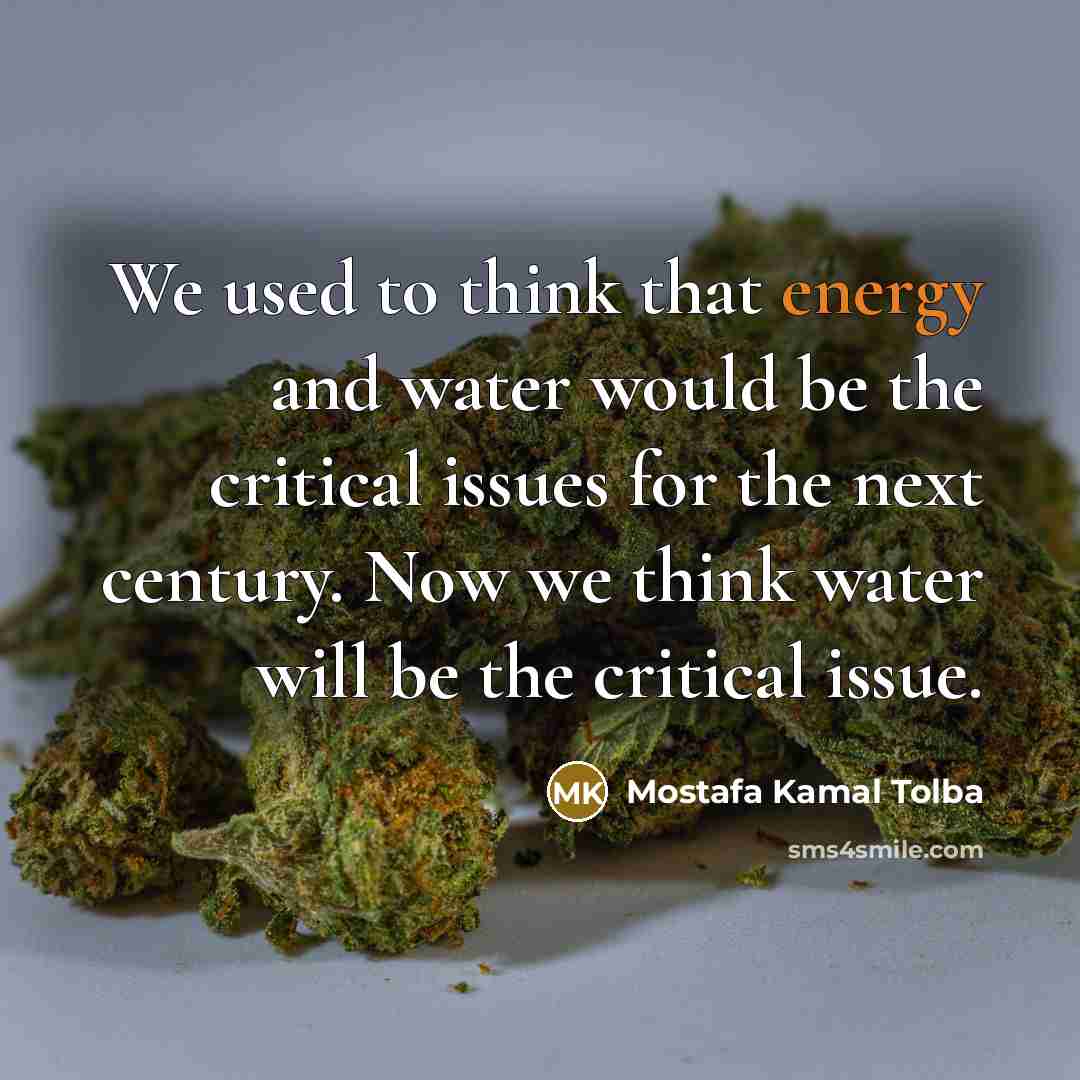 “We used to think that energy and water would be the critical issues for the next century. Now we think water will be the critical issue.” quote by Mostafa Kamal Tolba