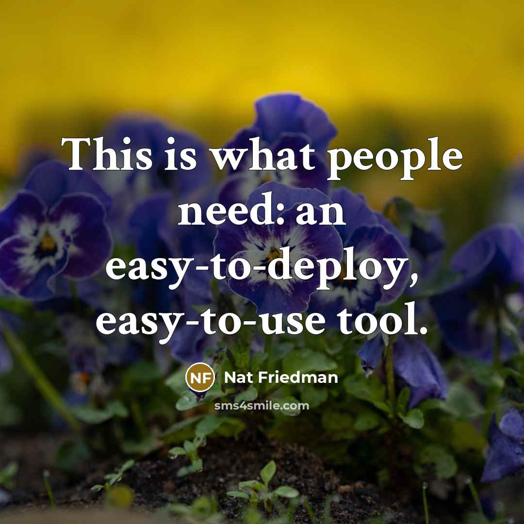 “This is what people need: an easy-to-deploy, easy-to-use tool.” quote by Nat Friedman
