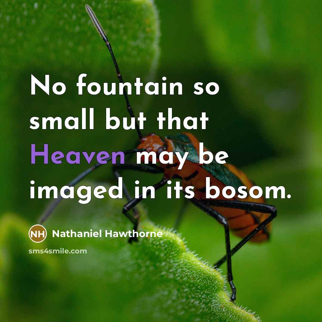 “No fountain so small but that Heaven may be imaged…” quote by Nathaniel Hawthorne