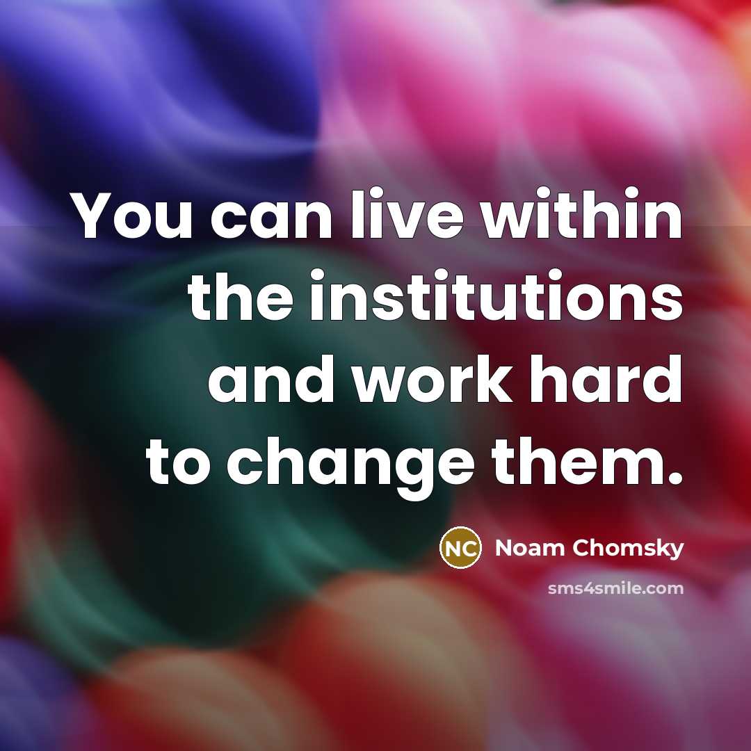 “You can live within the institutions and work hard to…” quote by Noam Chomsky