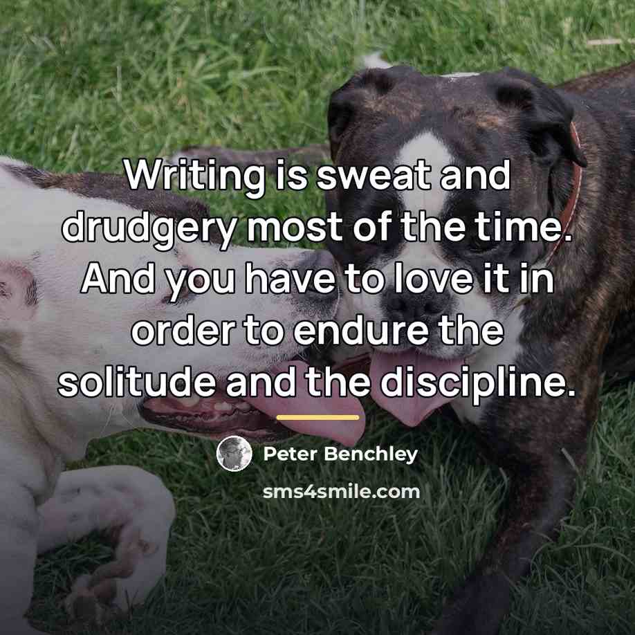 “Writing is sweat and drudgery most of the time. And…” quote by Peter Benchley