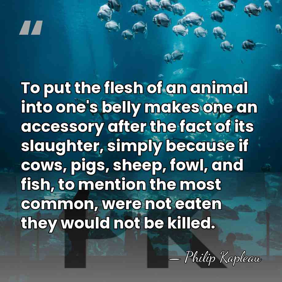 To put the flesh of an animal into one's belly makes one&hellip; - Philip Kapleau