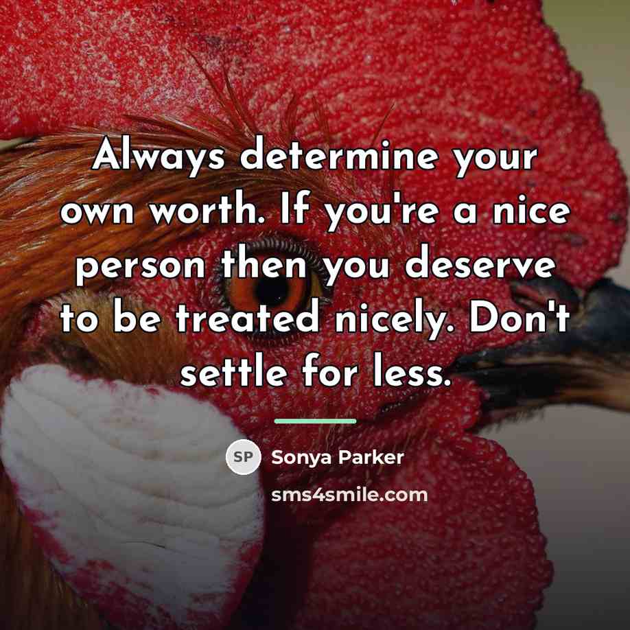 “Always determine your own worth. If you're a nice person…” quote by Sonya Parker