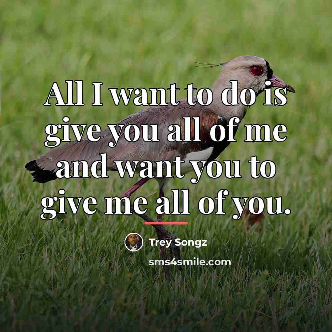 “All I want to do is give you all of…” quote by Trey Songz
