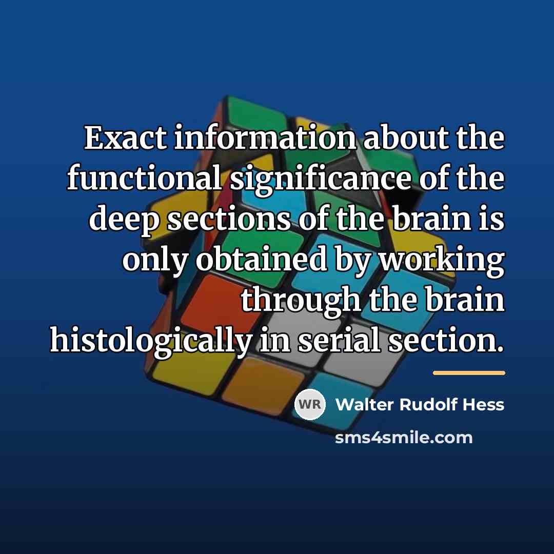 “Exact information about the functional significance of the deep sections…” quote by Walter Rudolf Hess