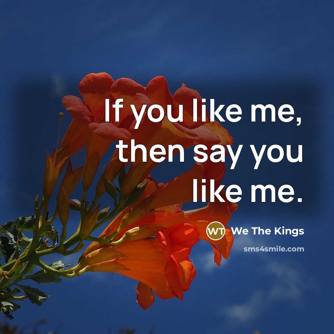 “If you like me, then say you like me.…” quote by We The Kings