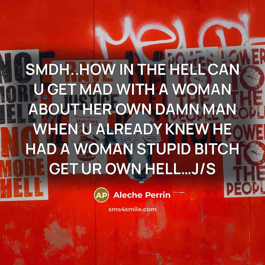 “SMDH..HOW IN THE HELL CAN U GET MAD WITH A…” quote by Aleche Perrin