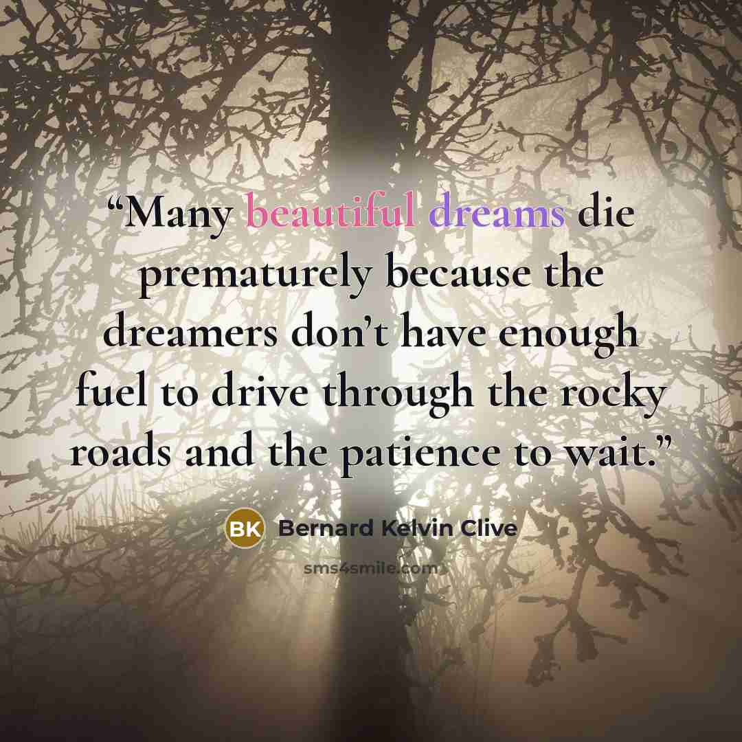 “Many beautiful dreams die prematurely because the dreamers don’t have enough fuel to drive through the rocky roads and the patience to wait.” quote by Bernard Kelvin Clive