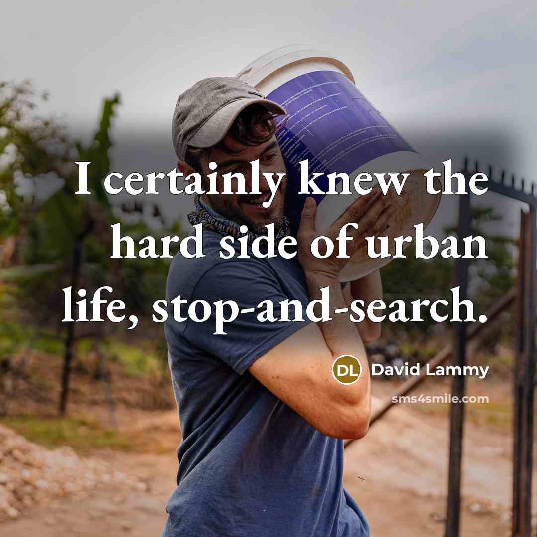 “I certainly knew the hard side of urban life, stop-and-search.…” quote by David Lammy