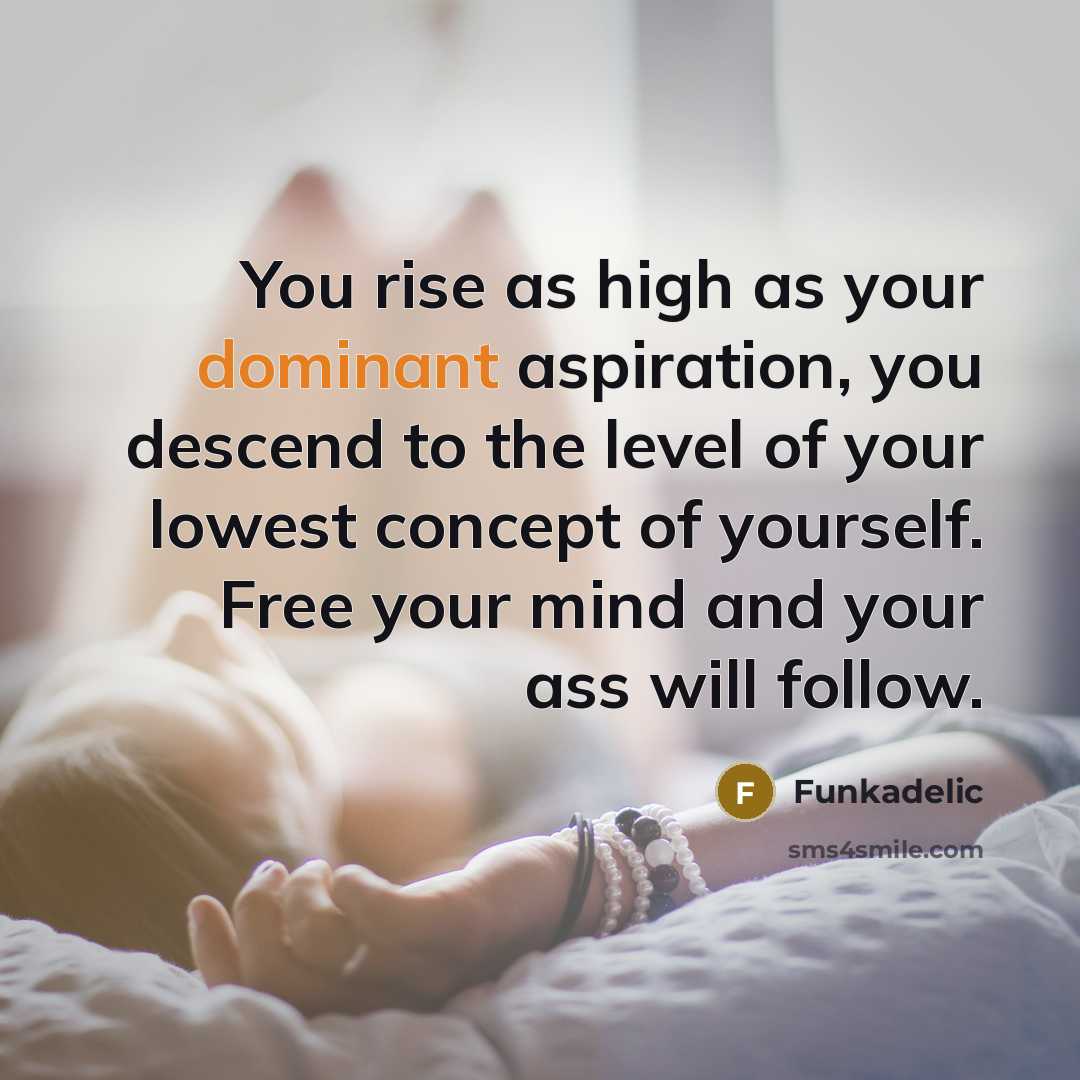 “You rise as high as your dominant aspiration, you descend…” quote by Funkadelic