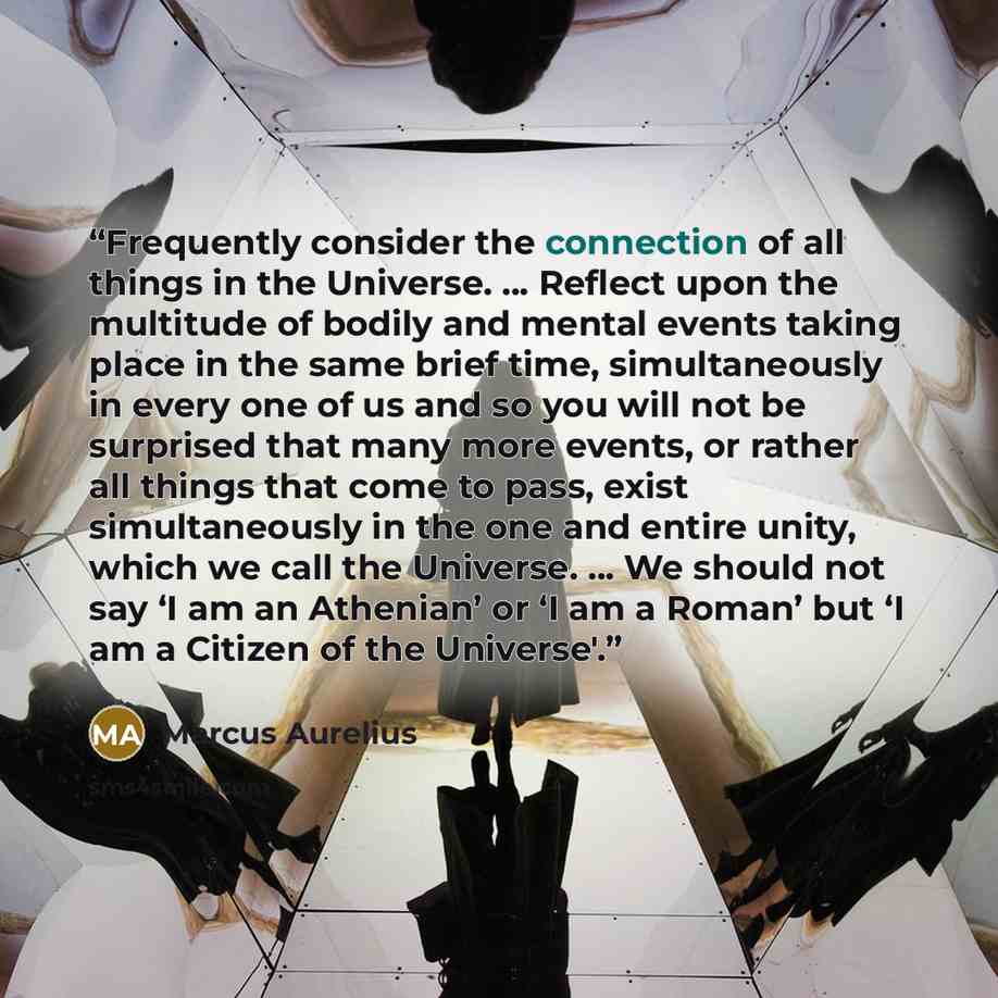 “Frequently consider the connection of all things in the Universe. ... Reflect upon the multitude of bodily and mental events taking place in the same brief time, simultaneously in every one of us and so you will not be surprised that many more events, or rather all things that come to pass, exist…” quote by Marcus Aurelius