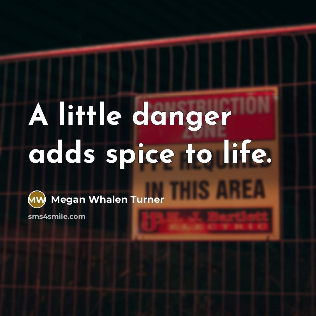 “A little danger adds spice to life.…” quote by Megan Whalen Turner