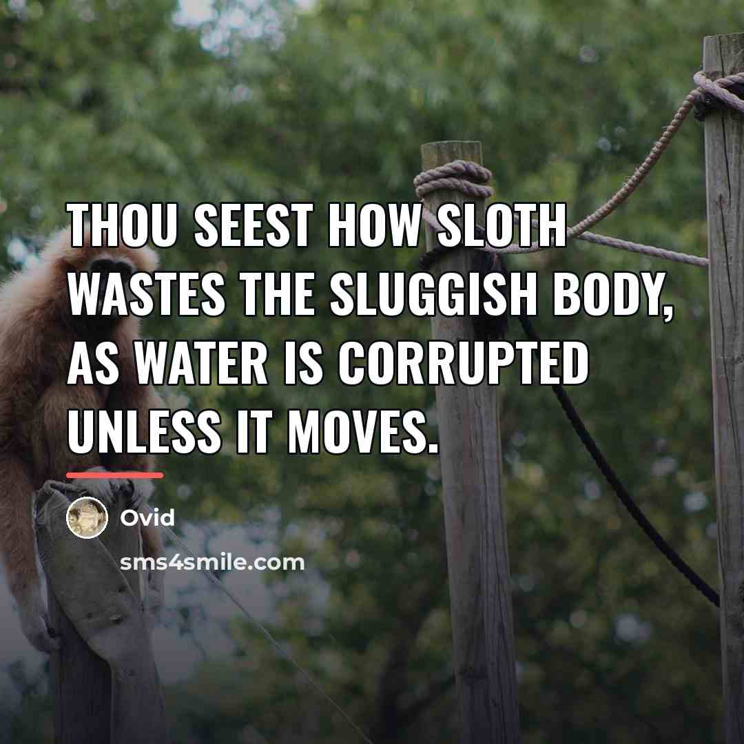 “Thou seest how sloth wastes the sluggish body, as water…” quote by Ovid