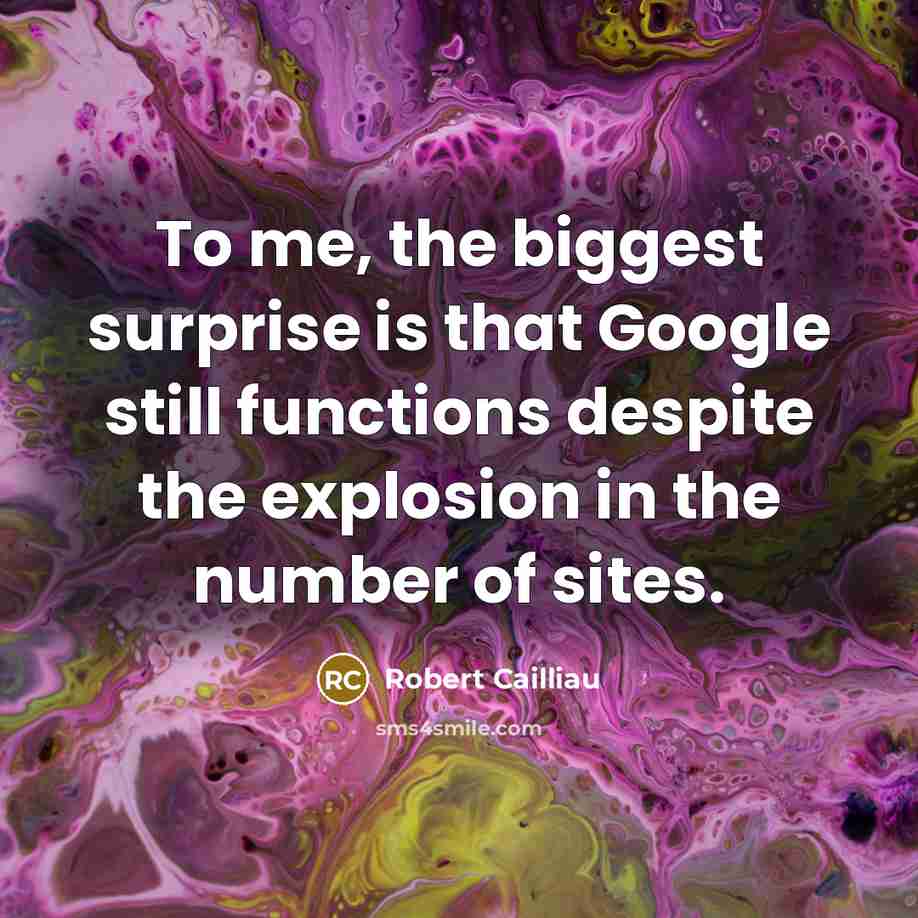 “To me, the biggest surprise is that Google still functions…” quote by Robert Cailliau