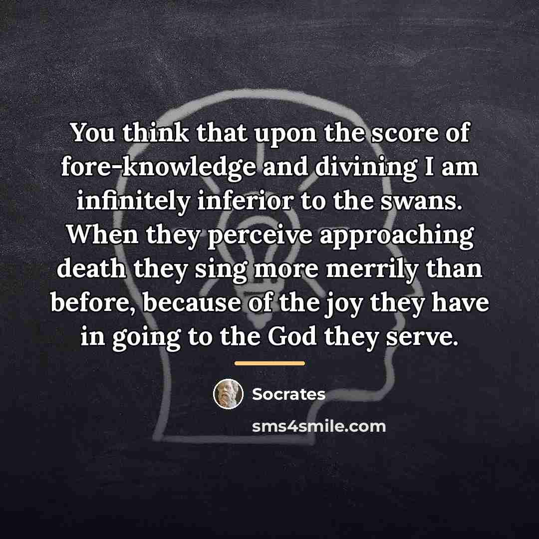“You think that upon the score of fore-knowledge and divining…” quote by Socrates