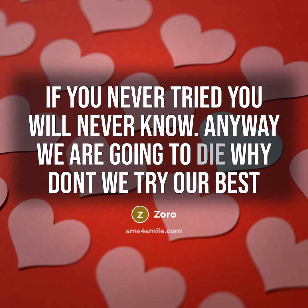 “If you never tried you will never know. Anyway we are going to die why dont we try our best” quote by Zoro