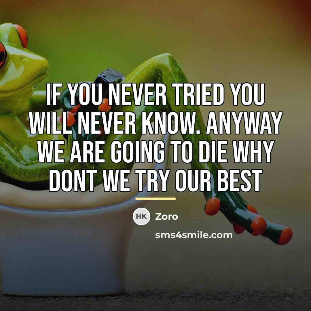 “If you never tried you will never know. Anyway we…” quote by Zoro