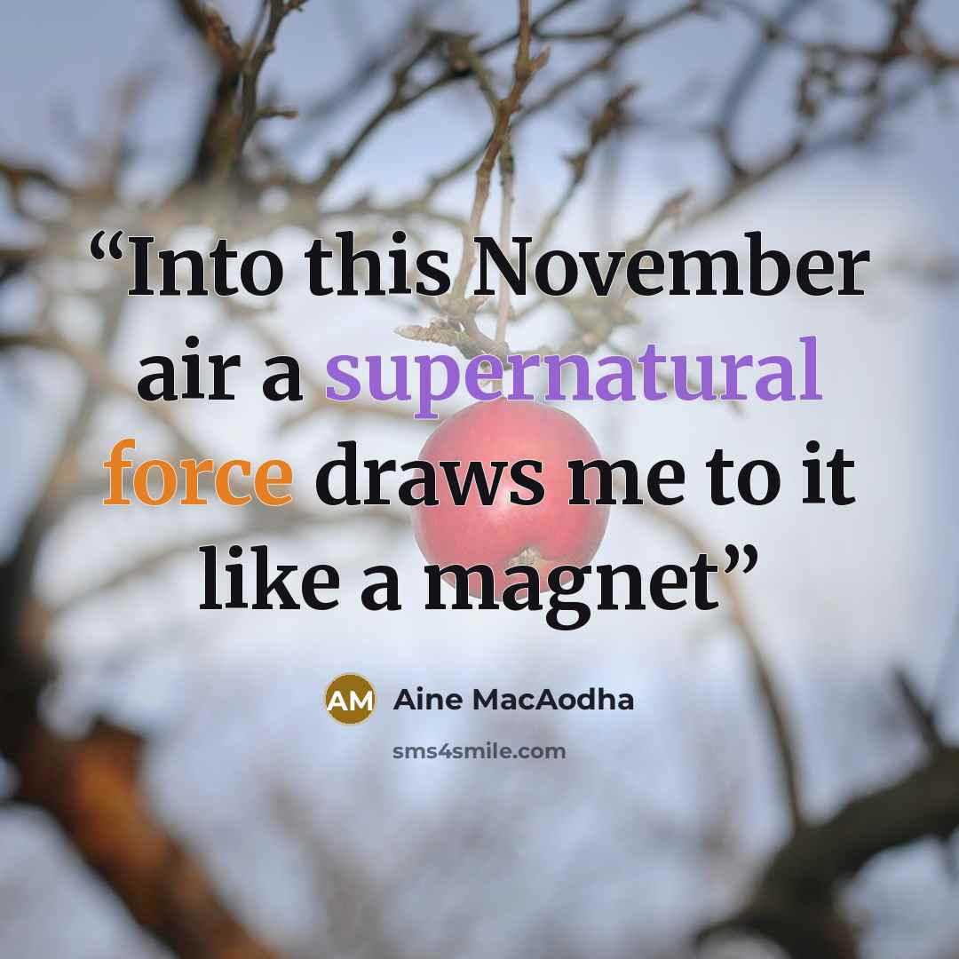 “Into this November air a supernatural force draws me to it like a magnet” quote by Aine MacAodha