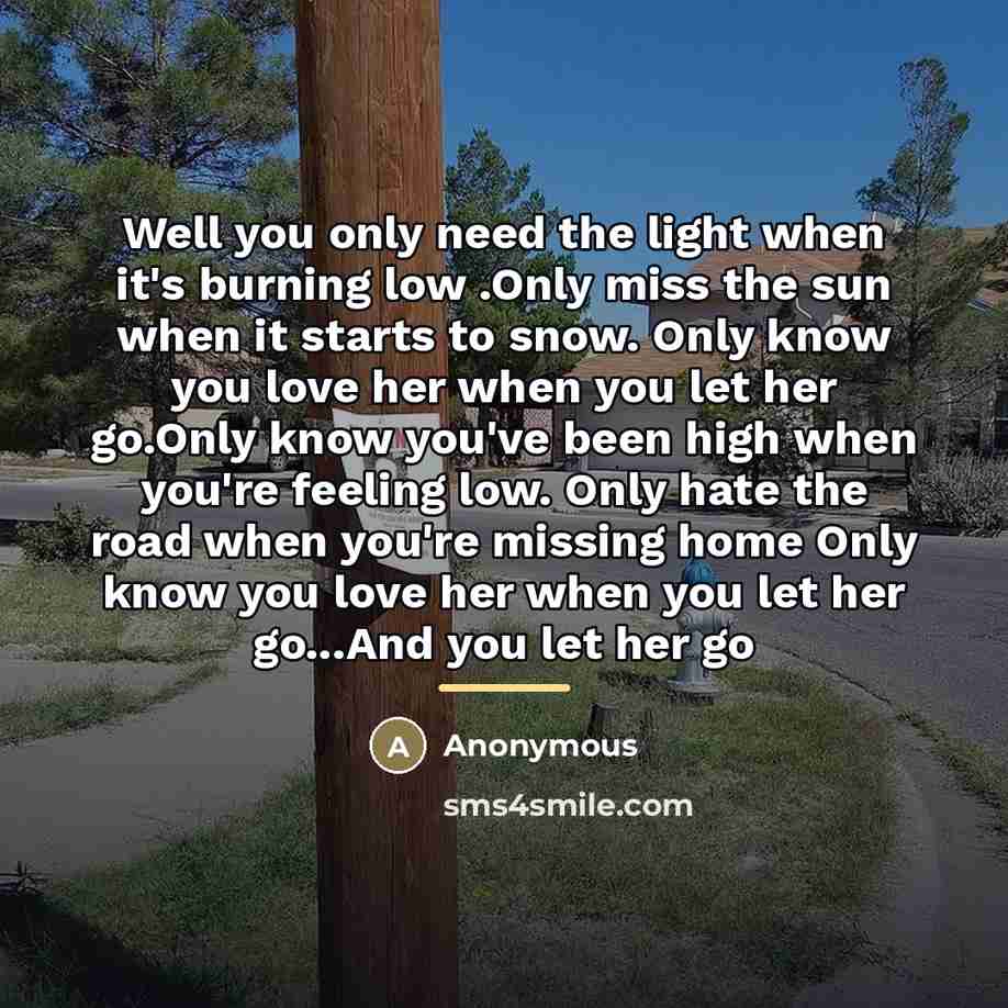 “Well you only need the light when it's burning low…” quote by Anonymous