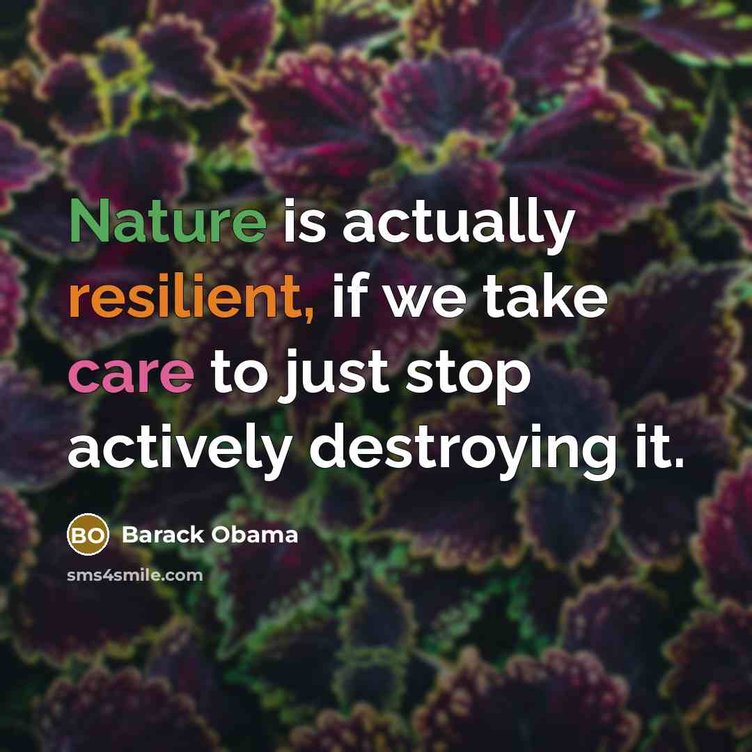 “Nature is actually resilient, if we take care to just…” quote by Barack Obama
