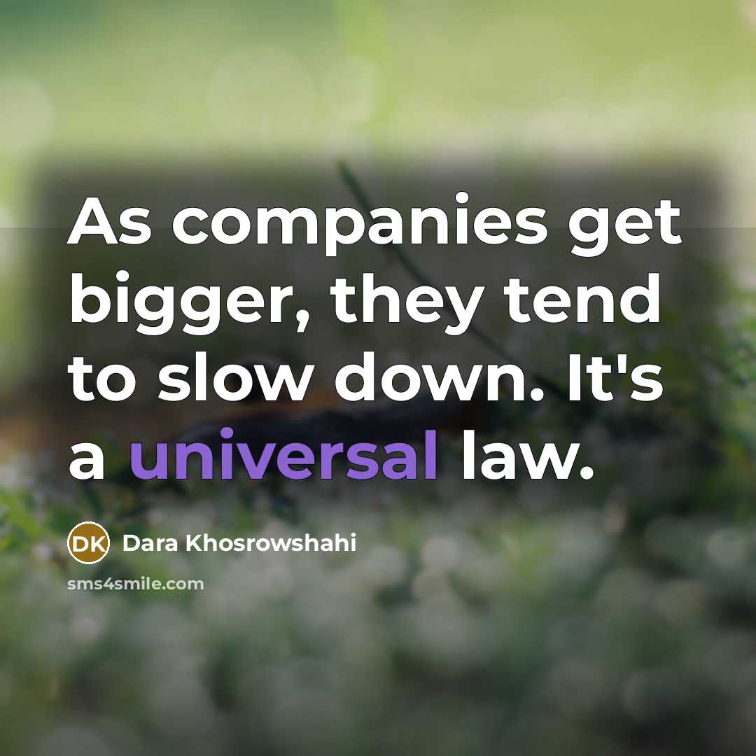 “As companies get bigger, they tend to slow down. It's…” quote by Dara Khosrowshahi