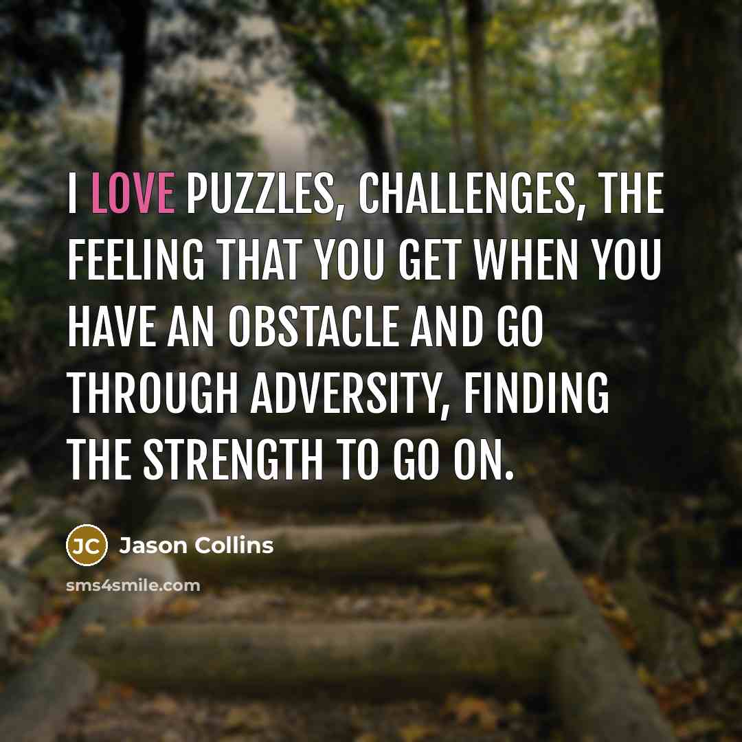 “I love puzzles, challenges, the feeling that you get when…” quote by Jason Collins